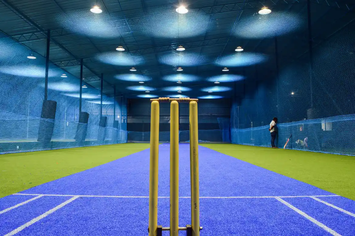 cricket